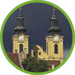 Portfolio Image